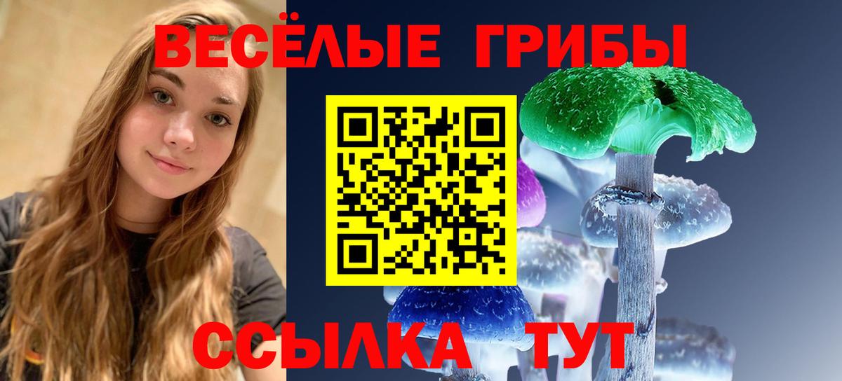 Протвино  Псилоцибиновые грибы мицелий  Вход с VPN 